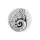 Conch Shell - Silver