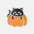 Happy Cat on Pumpkin