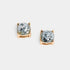 Celebrate Stud Earrings