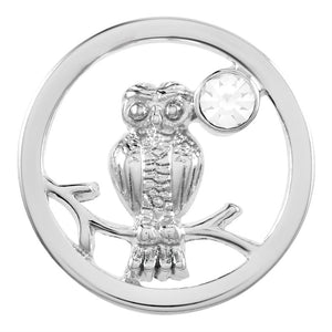 Owl on a Branch - Silver
